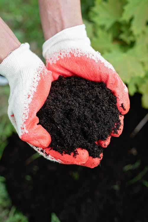 8 Simple Strategies for Weed-Free Gardens and Lush Lawns
